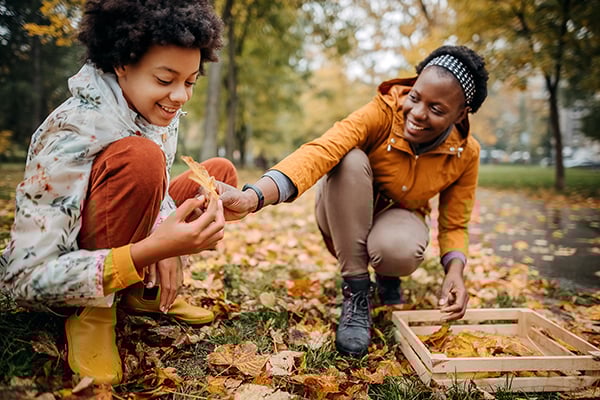 masshealth-autumn masshealth-autumn